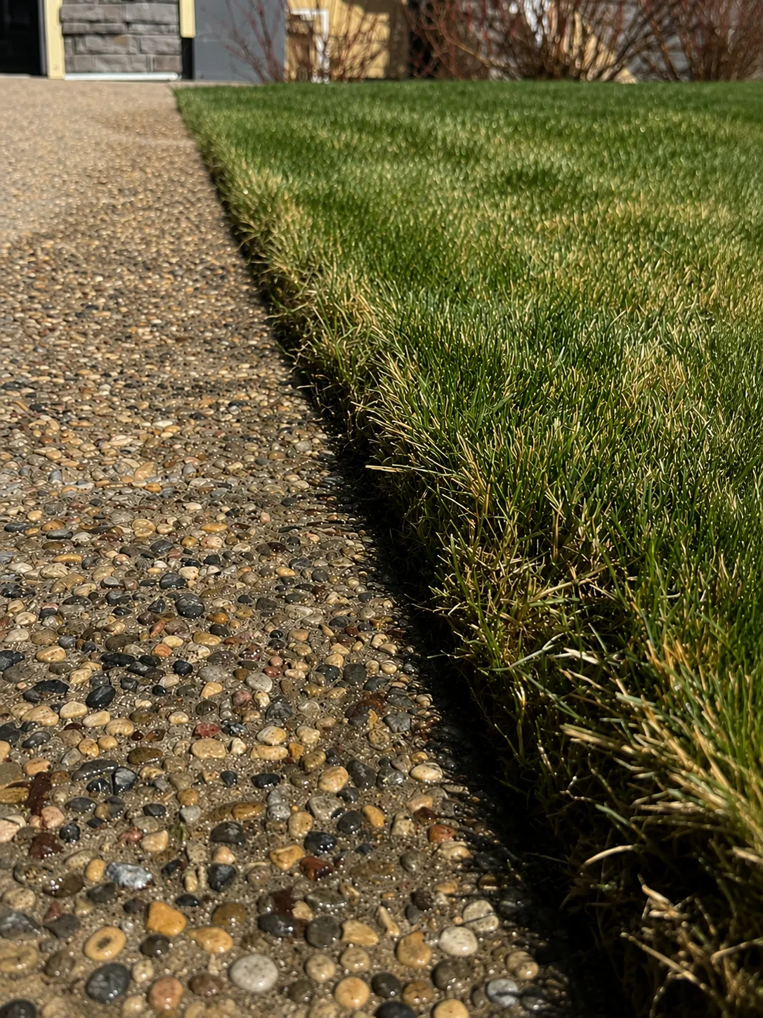 Fresh mow and trim on a Calgary lawn