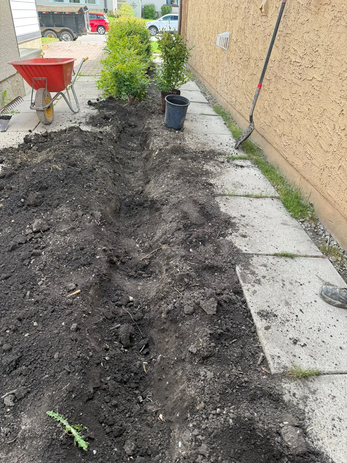 Prepared trench and soil