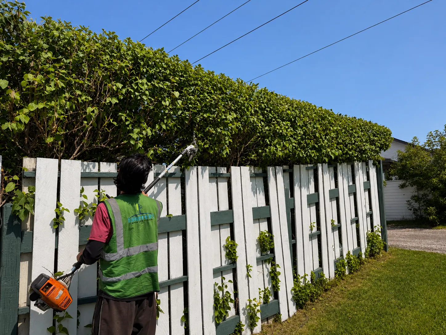 Hedge trimming finished on a southwest Calgary property